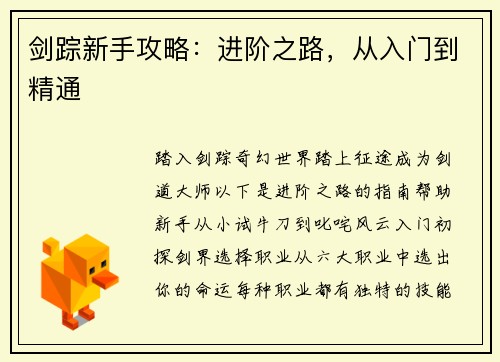 剑踪新手攻略：进阶之路，从入门到精通