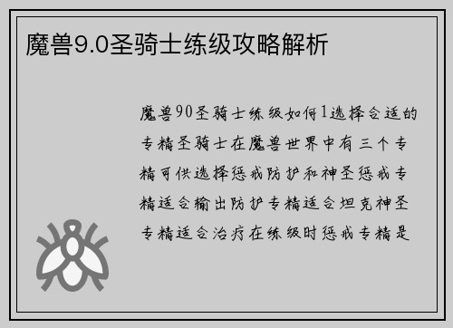 魔兽9.0圣骑士练级攻略解析